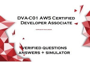 DVA-C02 Prüfungs