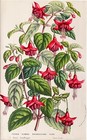 Foto 1 di 3