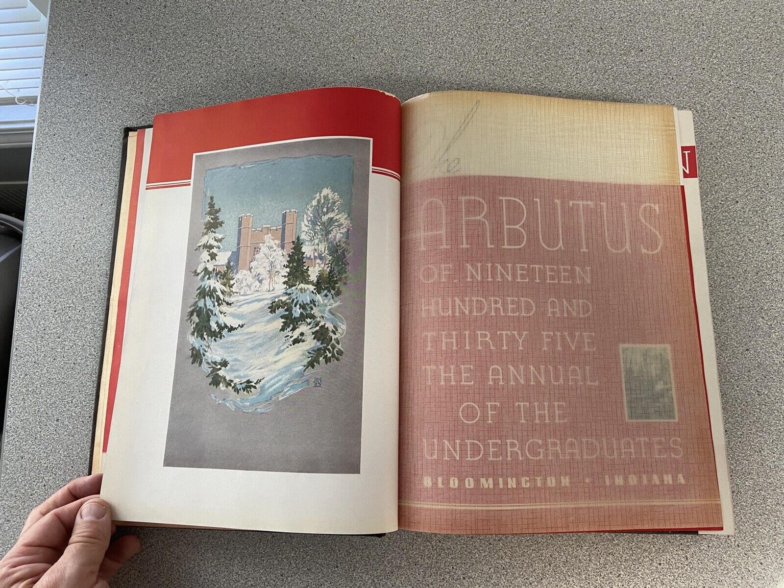 Picture 3 of 8