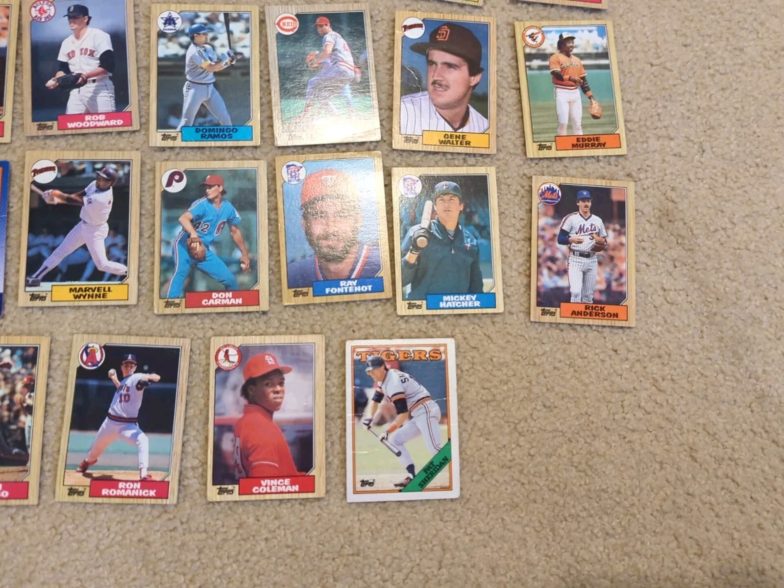 Picture 12 of 12