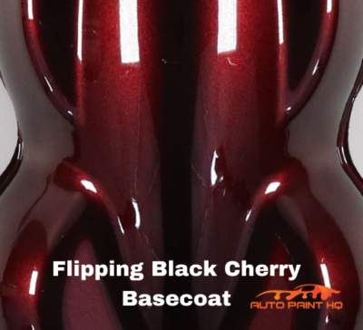 り　Acid Black Cherry TOU… Acid Black Cherry/Acid Black Cherry TOU…