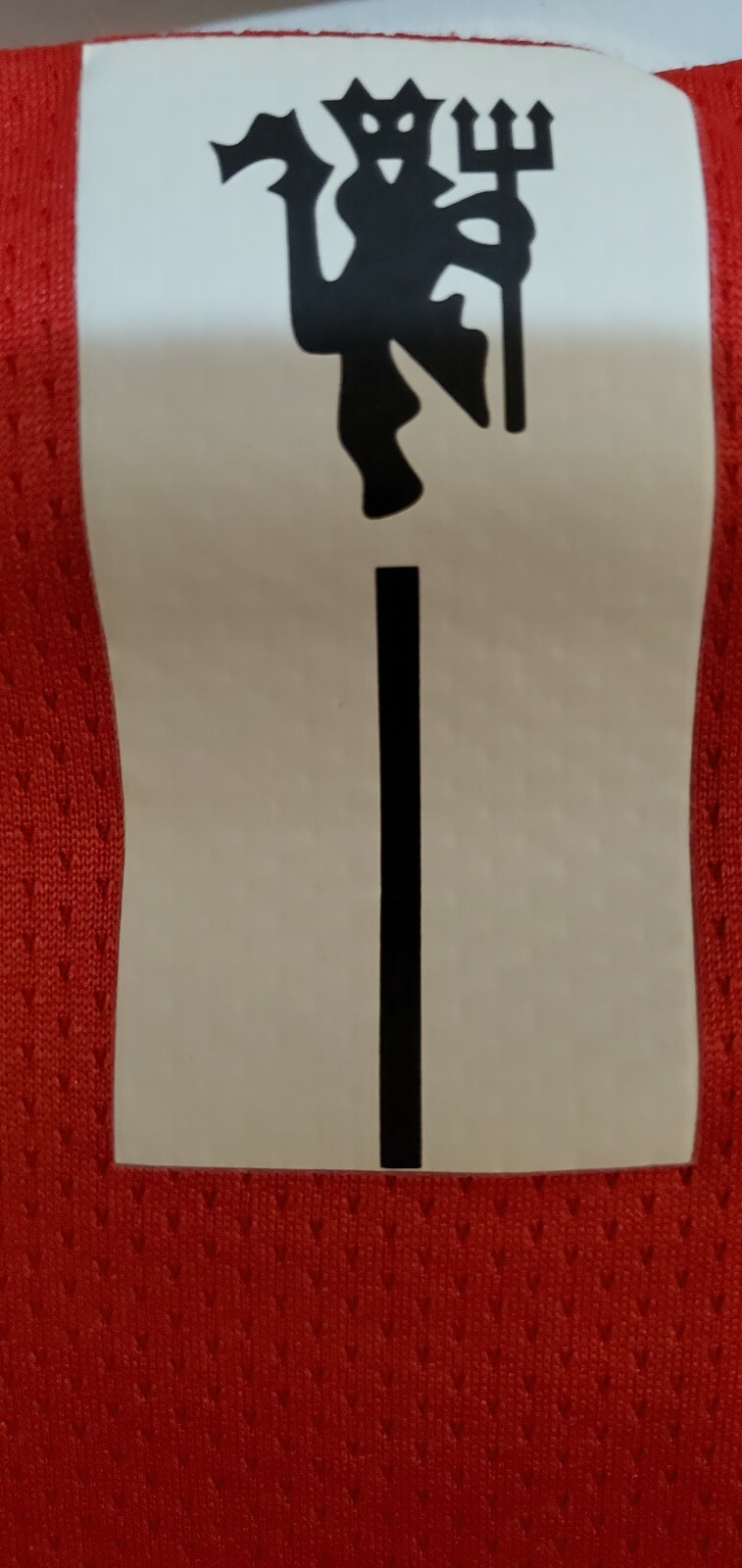 Picture 7 of 12