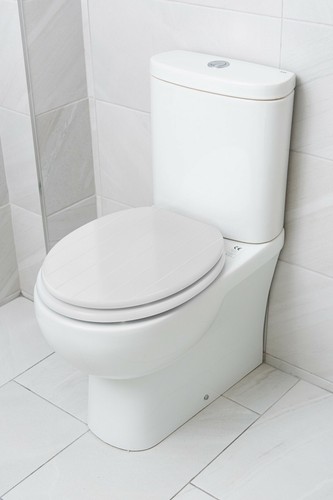 New Curvaso Fun Flush Novelty Print Toilet Seat MDF Quality Bathroom Accessories - Picture 11 of 17