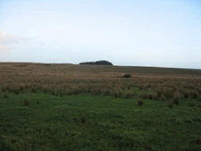 Photo 6x4 Dun Moss Gabroc Hill Bleak moss. c2006