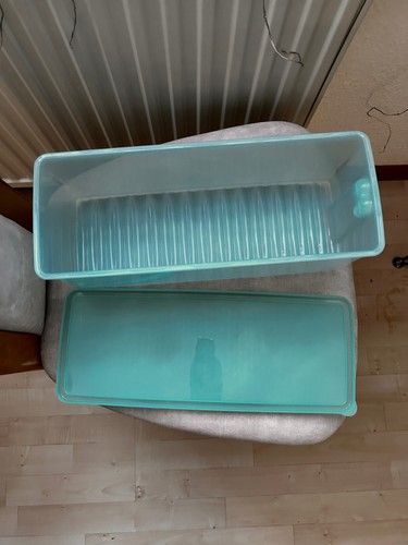 Tupperware Prima Klima 4,6 l türkis / transparent - Bild 5 von 5