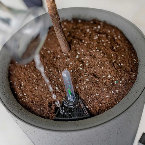 Vita Växa Planters with Stands 2-pack Model VT17903 Graphite - Picture 2 of 5