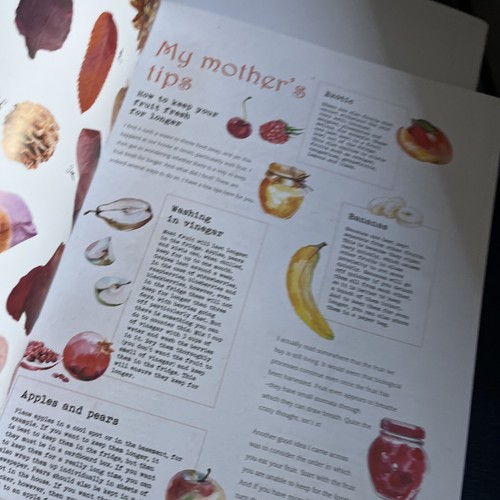 Daphne’s Diary Magazin 2019 - Ausgabe 1 - Bild 10 von 23