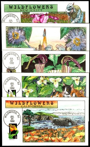 US #2647-2696 29c Wildflowers. Collins Hand Painted Cachet (50) - Picture 5 of 11