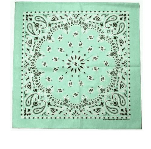 HAV-A-HANK EXTRA LUNGO PAISLEY BANDANA SCIARPA COLLO AVVOLGENTE STOLA (168 cm x 55 cm) - Foto 52 di 59