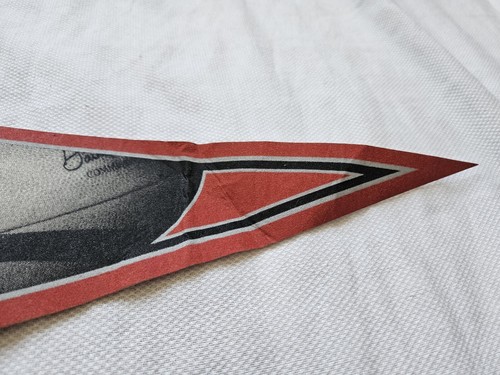 Stockton Lightning defunct Arena Football League AFL Pennant - Picture 8 of 11