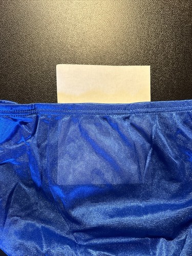 Traje de arrastre vintage Speedo de malla fina de nailon talla 32 calzoncillo semi transparente con carcasa y forro - Imagen 4 de 4