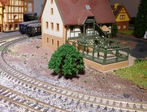50 Dark Green Deciduous Trees, 40 mm High - Picture 6 of 11
