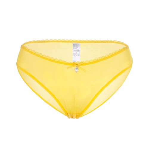 Sexy See-Through Underwear Sheer Breathable Mesh Women Pantie - Picture 8 of 14