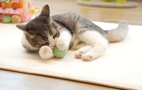 Selbststeuernde Kugel für Katzen Cheerble Ice Cream (Grün) - Bild 4 von 4