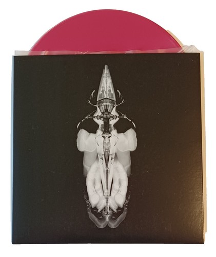 Aphex Twin – Windowlicker【12inch】 Amazon.com: Windowlicker: Industrial & Scientific