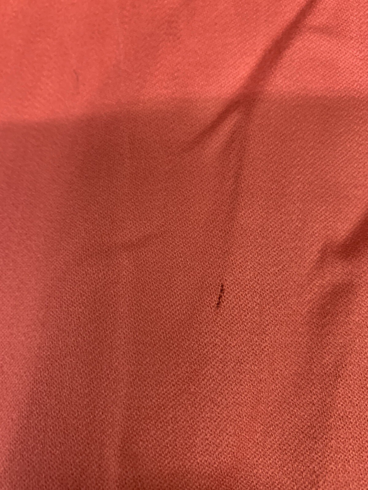 Picture 10 of 13