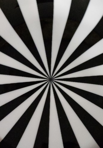 4 Christian Siriano schwarz weiß Schüsseln 8" Porzellan Bonbon Streifen Goldrand - Bild 4 von 12