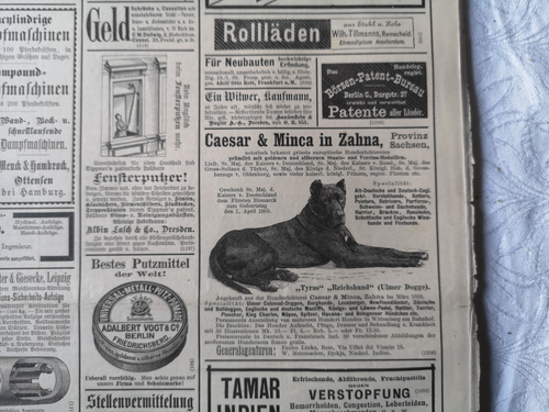 RK/IZ 1889 Zeitungsdruck 202 Reklame Hundezucht Zahna Ulmer Dogge Hunde