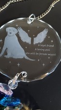 Pet Memorial Ornaments - Picture Ornament for a Pet - Etched NEW