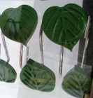 Tropical Bath Shower Curtain Hooks LANAI Green Palm Leaves NOTE: Set of 11 ONLY