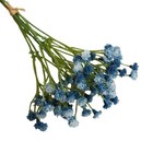 Foto 12 di 24