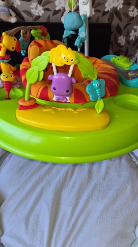 Fisher-Price Rainforest Jumperoo Well Used But Plenty Of Life Left In It - Picture 2 of 17