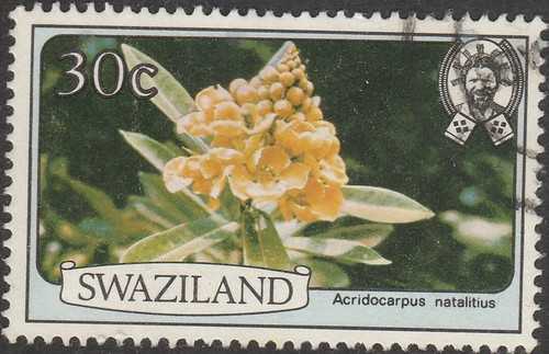 ๐ธ๐ฟ Swaziland Selection of 8 Flora stamps - Picture 5 of 10