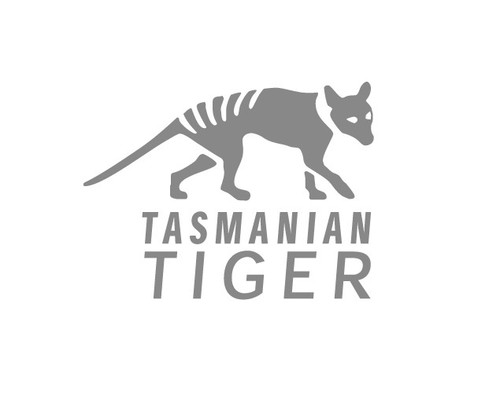BOLSA TAC 4 TIGRE DE TASMANIA, MOLLE PLATAFORMA DE PECHO ARMADURA PORTACÁMARA Y 4 COLORES - Imagen 12 de 17