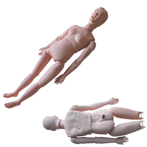 Woman Teach Model Study Training Patient Care Human for Medical Manikin School - Picture 1 of 9