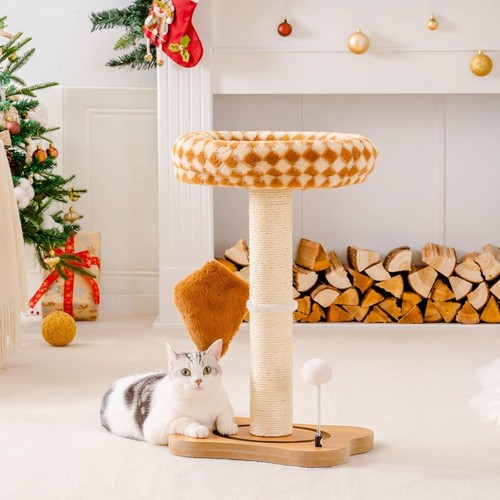 Mewoofun 2-Tier Cat Tree Cat Scratching Post with Bed Cat Tree Tower for Indoor - Picture 5 of 21