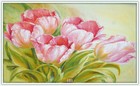 Bild 170 von 242