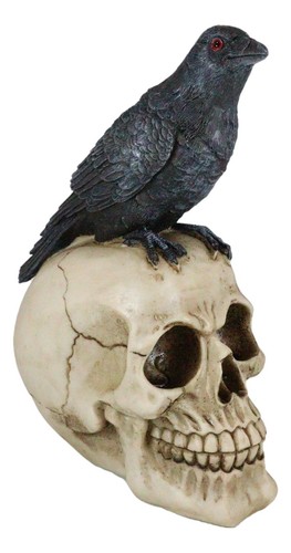 Zombie Rabe Schnitzel Krähe sitzt auf elendem Totenkopf Deko Figur 8" hoch - Bild 5 von 10