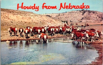 Postcard Howdy From Nebraska World Famous Nebraska Prime Beef 1968 Chrome