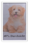 Bild 21 von 22