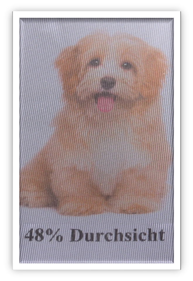 Bild 21 von 22