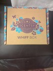 Scentsy Baby Tux Penguin Mini Warmer November 2023 Whiff Box Night Light & More