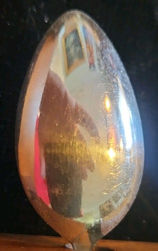 CHARLES M ROBBINS Sterling Silver Galveston Spoon - Picture 7 of 9