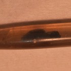 Picture 8 of 24