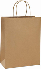 10X5X13 Kraft Shopping Bags 100Pcs Brown Paper Bags with Handles Bulk, for Gifts