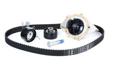 INA 530 0449 30 Kit cinghia distribuzione pompa acqua per FORD C-MAX (DM2)