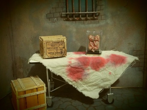 Dollhouse miniature handcrafted conjoined twin in case asylum oddities curiosity - Picture 2 of 3