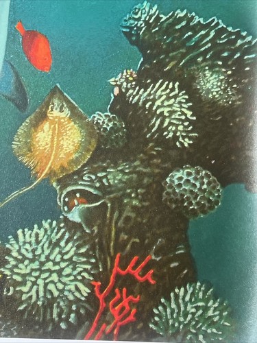 ISRAEL RUBINSTEIN, Goddess Of The Sea - “Nymph”, Fine Art Print On Canvas 29x39 - Picture 5 of 7