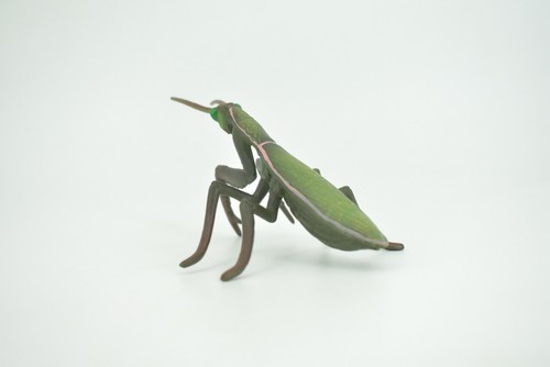 Praying Mantis Spielzeug realistische Gummi handbemalte Figur Replik, 5" CH302 BB181 - Bild 5 von 8