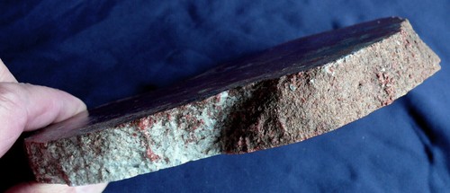 Versteinerter Dinosaurier-Dung, Koprolith, Fossil Scheibe 870,8g 183x122x22mm - Bild 7 von 8