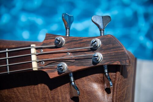 Vintage 1969 Ampeg Dan Armstrong Lucite (Plexiglass) Bass w Brazilian Fretboard! - Picture 5 of 18