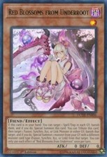 Red Blossoms from Underroot - DUDE-EN006 - Ultra Rare - 1st Edition x3 - Near Mi