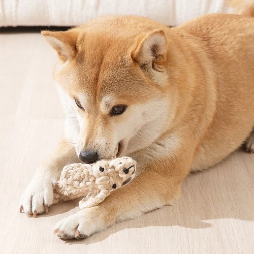 Handmade Cotton Rope For Dog Puppy Chew Toys Fo Pet Teeth Cleaning Toy - Picture 6 of 22