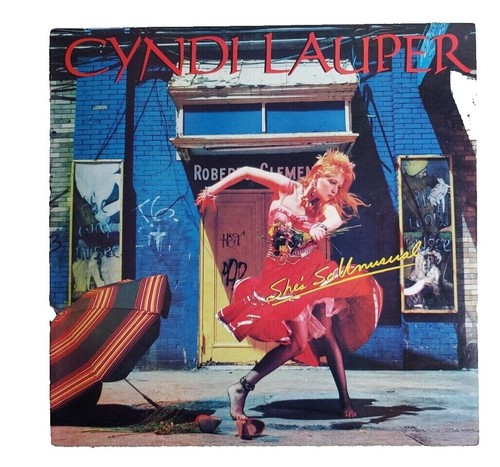 絶版　希少　Picture Life of Cyndi Lauper 絶版 希少 Picture Life of Cyndi Lauper Cyndi Lauper: In
