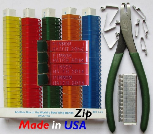 Pinnon Hatch Farms Express 1 bis 2 Tage Stempel Zeit individuell Huhn Reißverschluss Flügelbänder - Bild 1 von 25