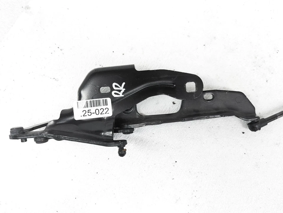 Bisagra de puerta trasera para pasajeros BMW Z4 2009-2016 + puntal elevador - Conv 54-37-7-497-733 Foto 2 de 4